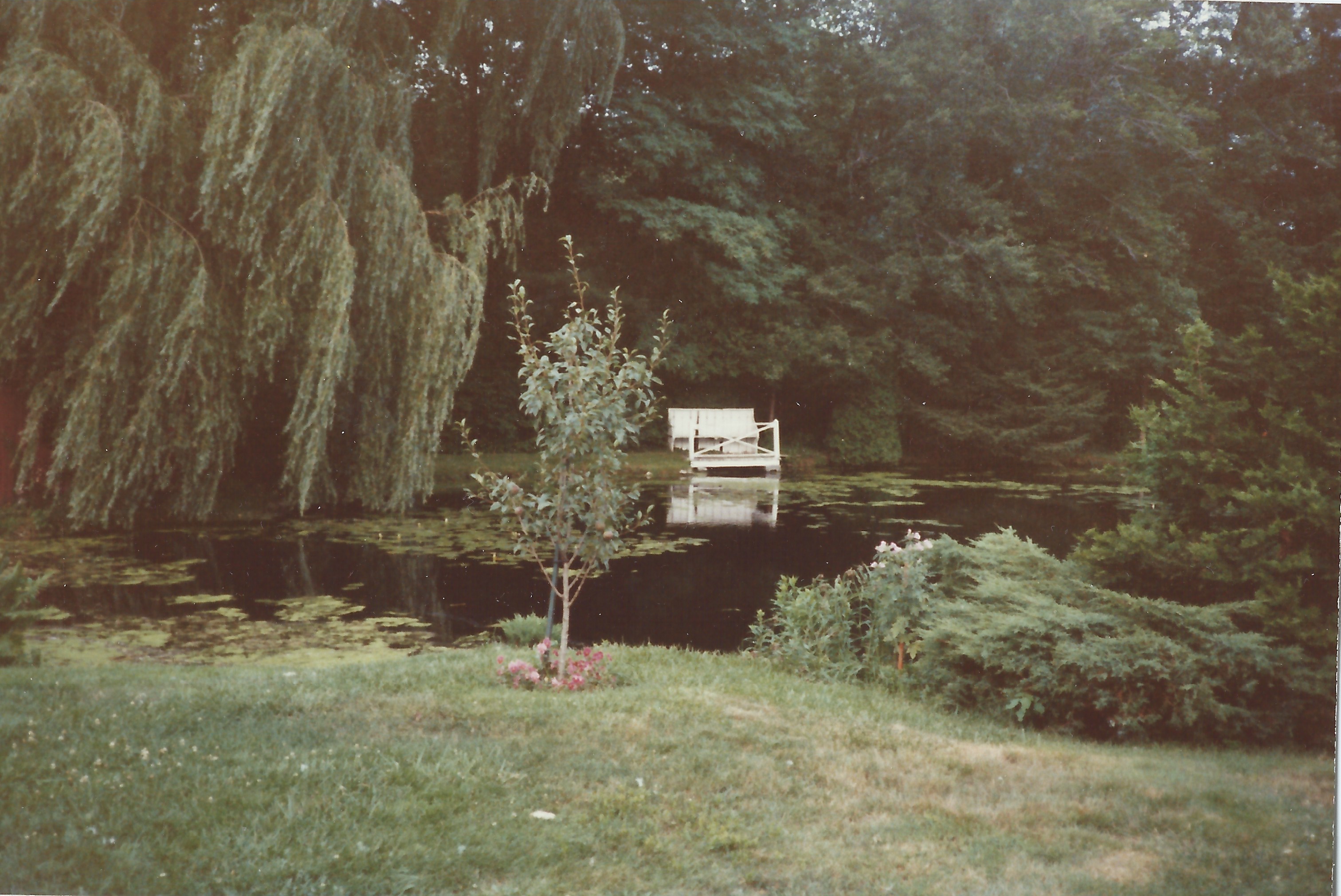 pond2